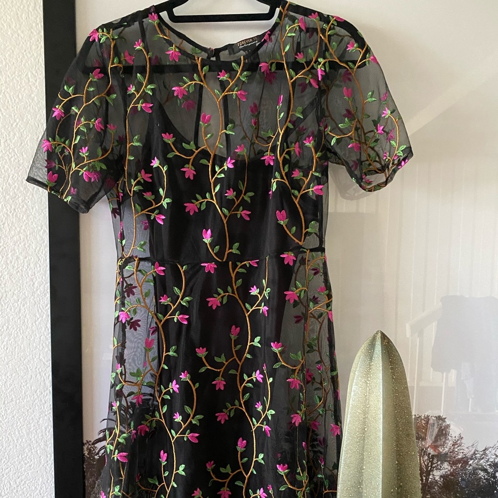 Forever 21 sheer dress